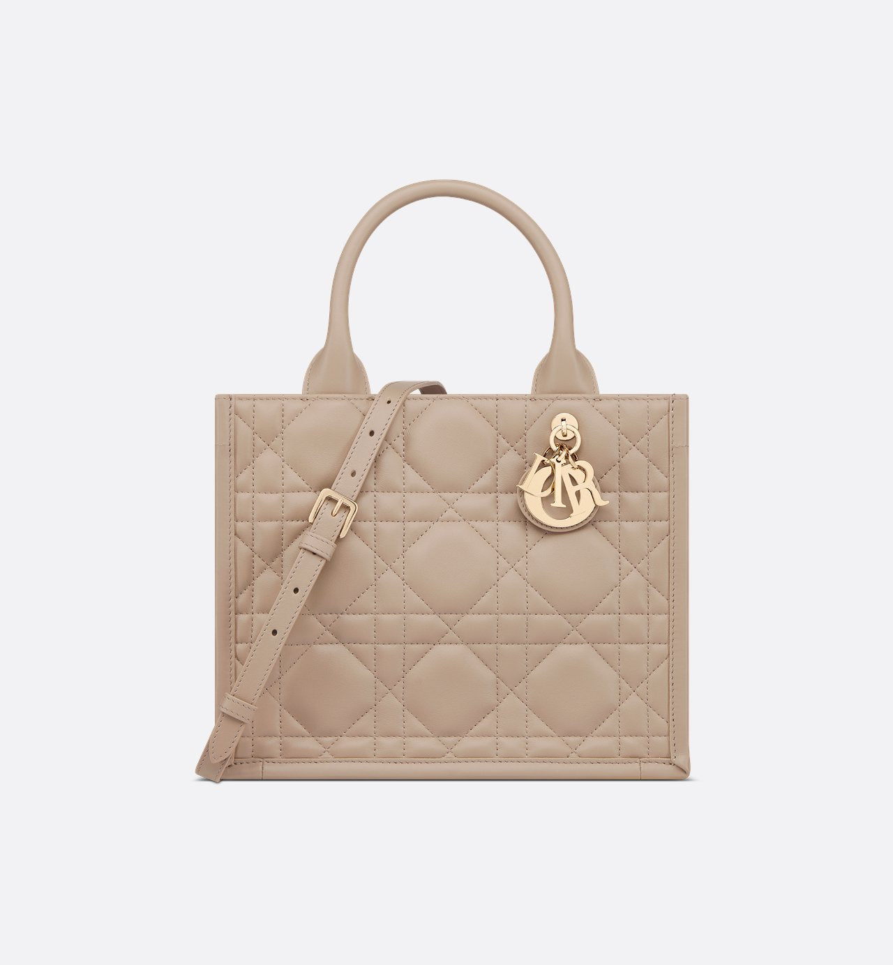 Sac Dior Book Tote Small